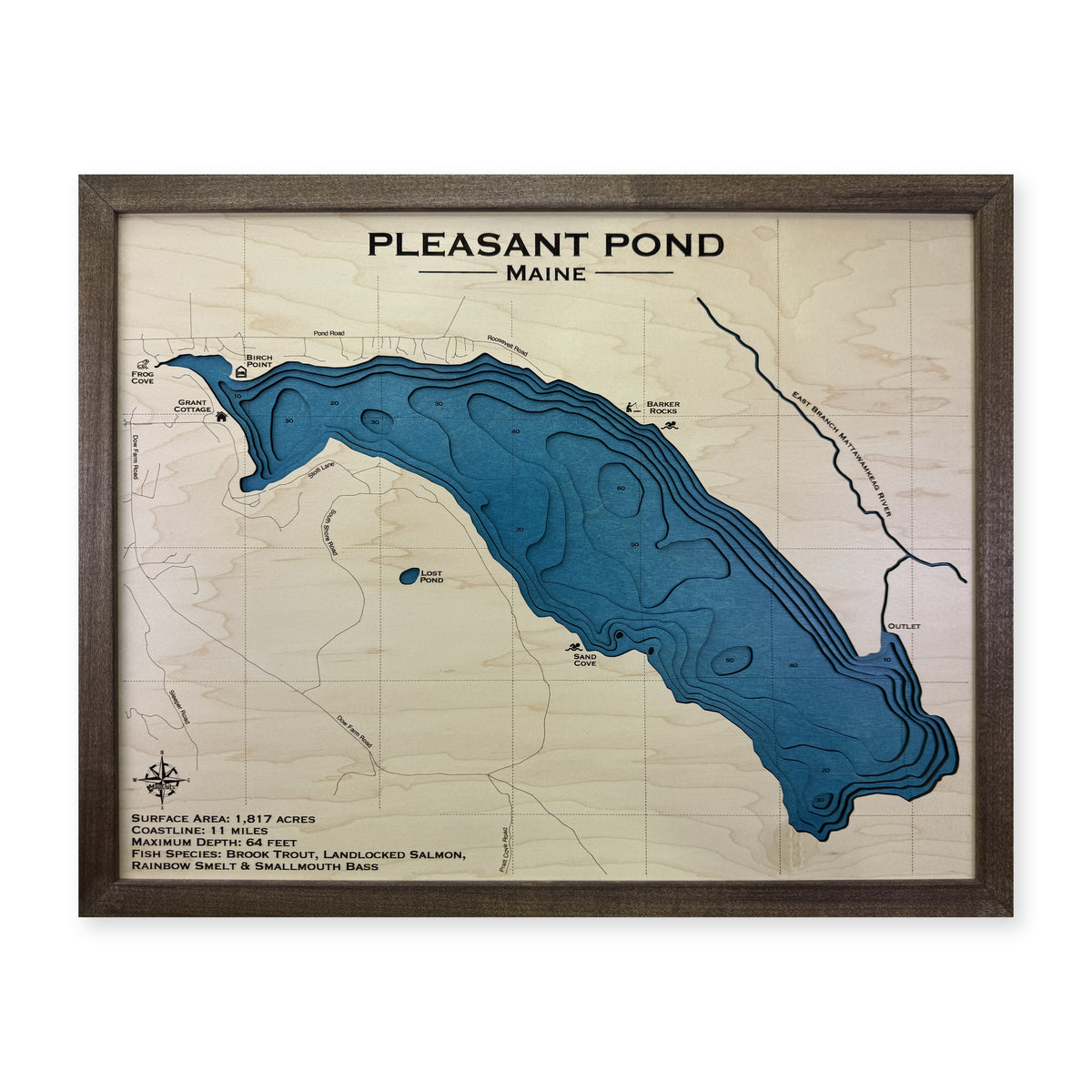 Pleasant Pond, Island Falls, Maine Wood Map — Multilayer — plain-background photo