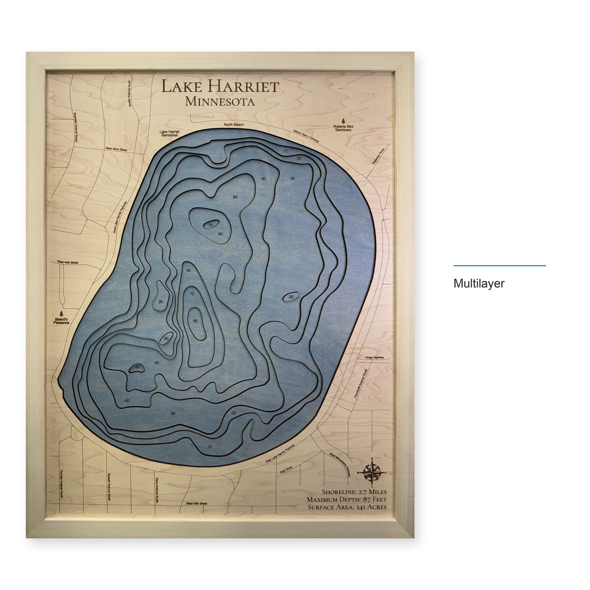 Lake Harriet, Minnesota Wood Map — Multilayer — style-labeled photo