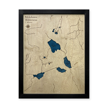 Mokelumne Wilderness, California Wood Map — Single layer with engraved contours — plain-background photo