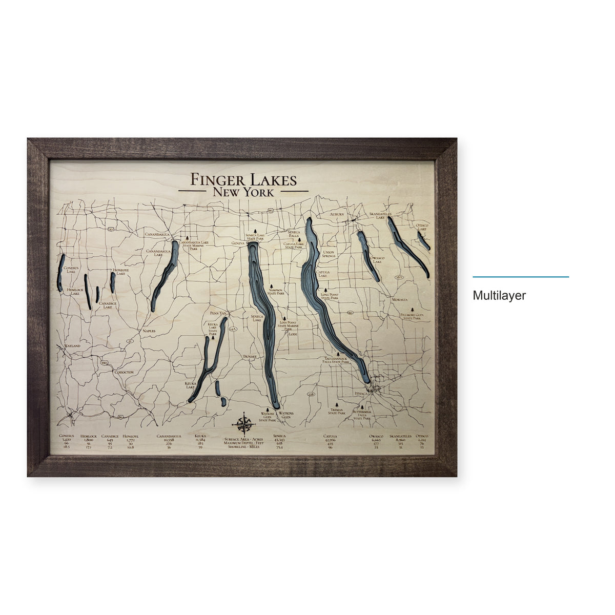 Finger Lakes, New York, Wood Map — Multilayer — style-labeled photo