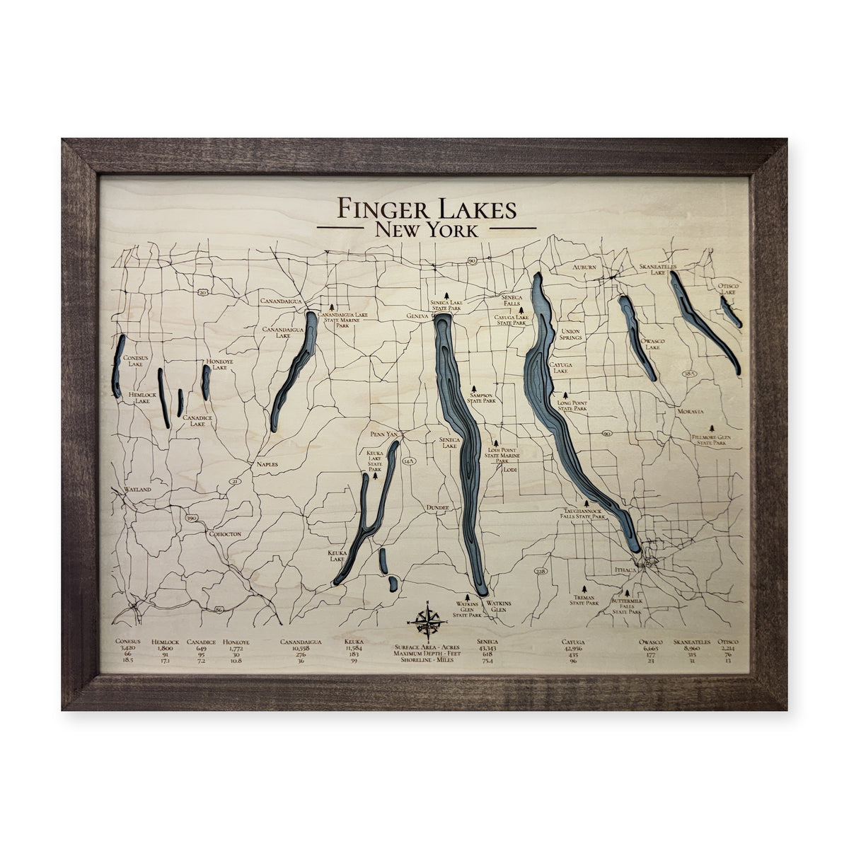 Finger Lakes, New York, Wood Map — Multilayer — plain-background photo