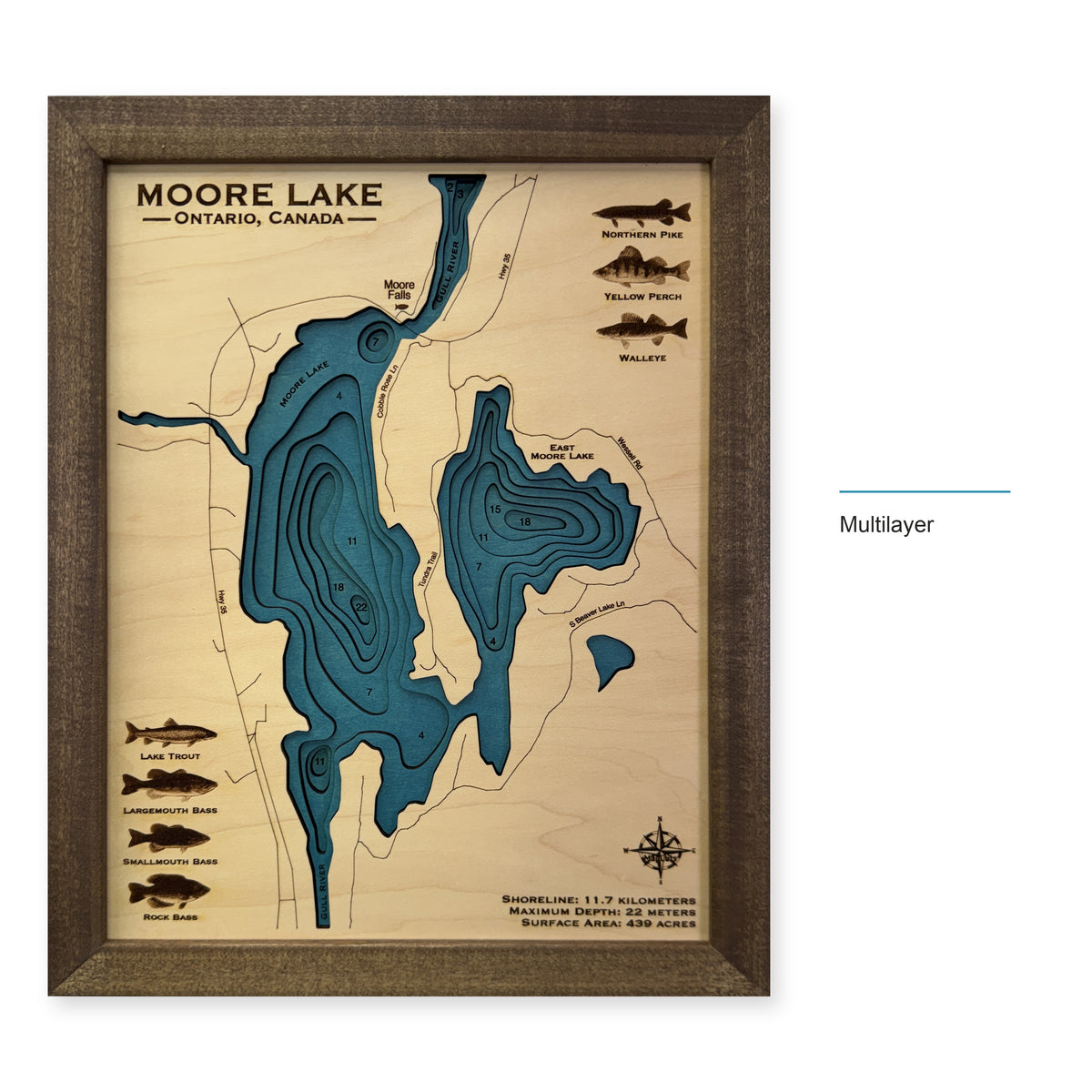 Moore Lake, Ontario, Canada Wood Map — style-labeled photo [MC20261006 q1987 60df6878b166]