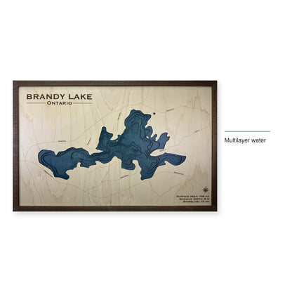 Brandy Lake, Ontario Wood Map — style-labeled photo [MC20261006 q2640 ac769b3018c6]