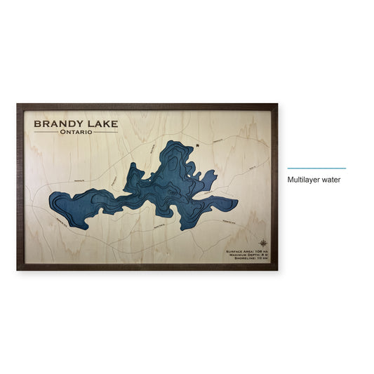 Brandy Lake, Ontario Wood Map — style-labeled photo [MC20261006 q2640 ac769b3018c6]