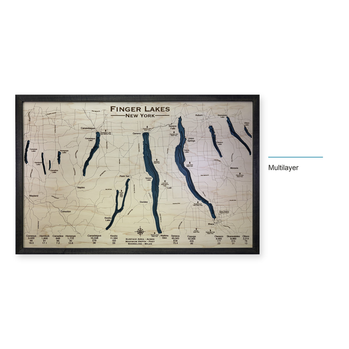 Finger Lakes Wood Map — style-labeled photo [MC20261006 q3564 9c191f844c8c]