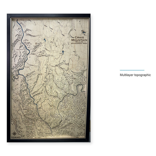 Craig Mountain Wildlife Management Area, Idaho Topographic Wood Map — style-labeled photo [MC20261006 q3769 23907268b300]