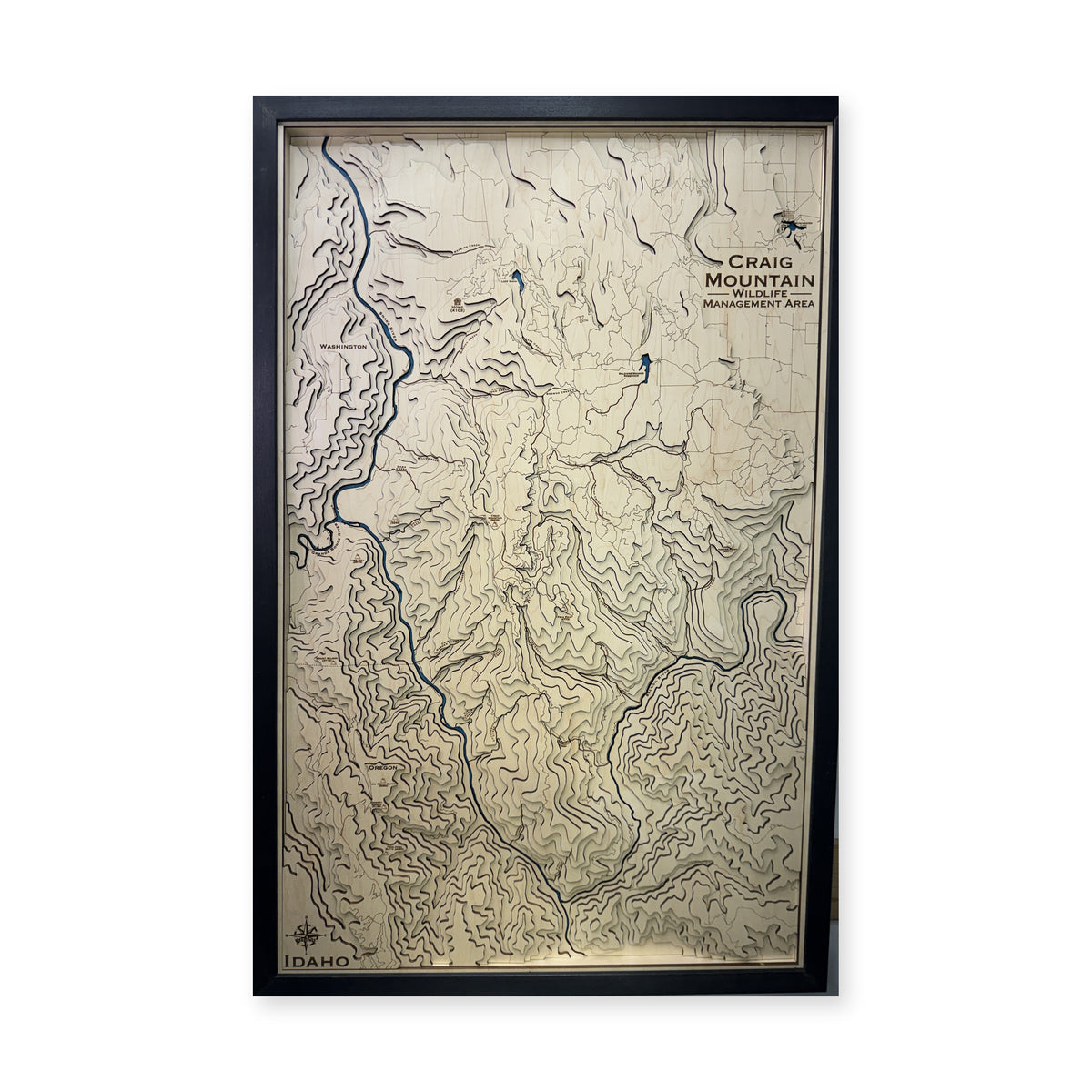 Craig Mountain Wildlife Management Area, Idaho Topographic Wood Map — plain-background photo [MC20261006 q3769 da45a18020b4]
