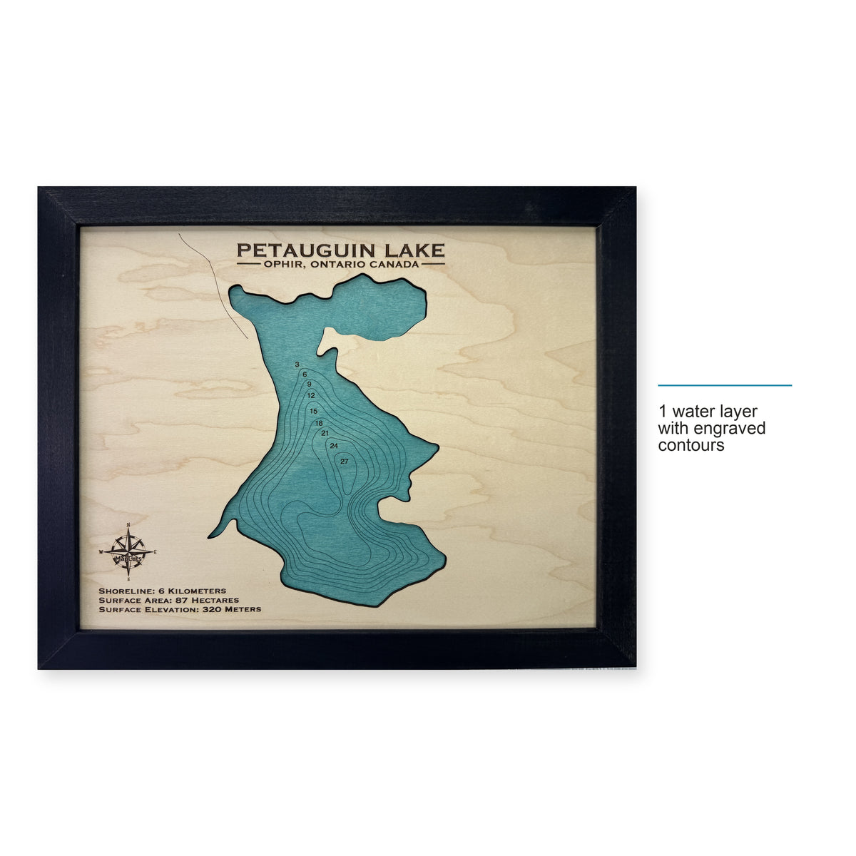 Petauguin Lake, Ophir, Ontario Wood Map — style-labeled photo [MC20261006 q4111 a40cac8b736e]