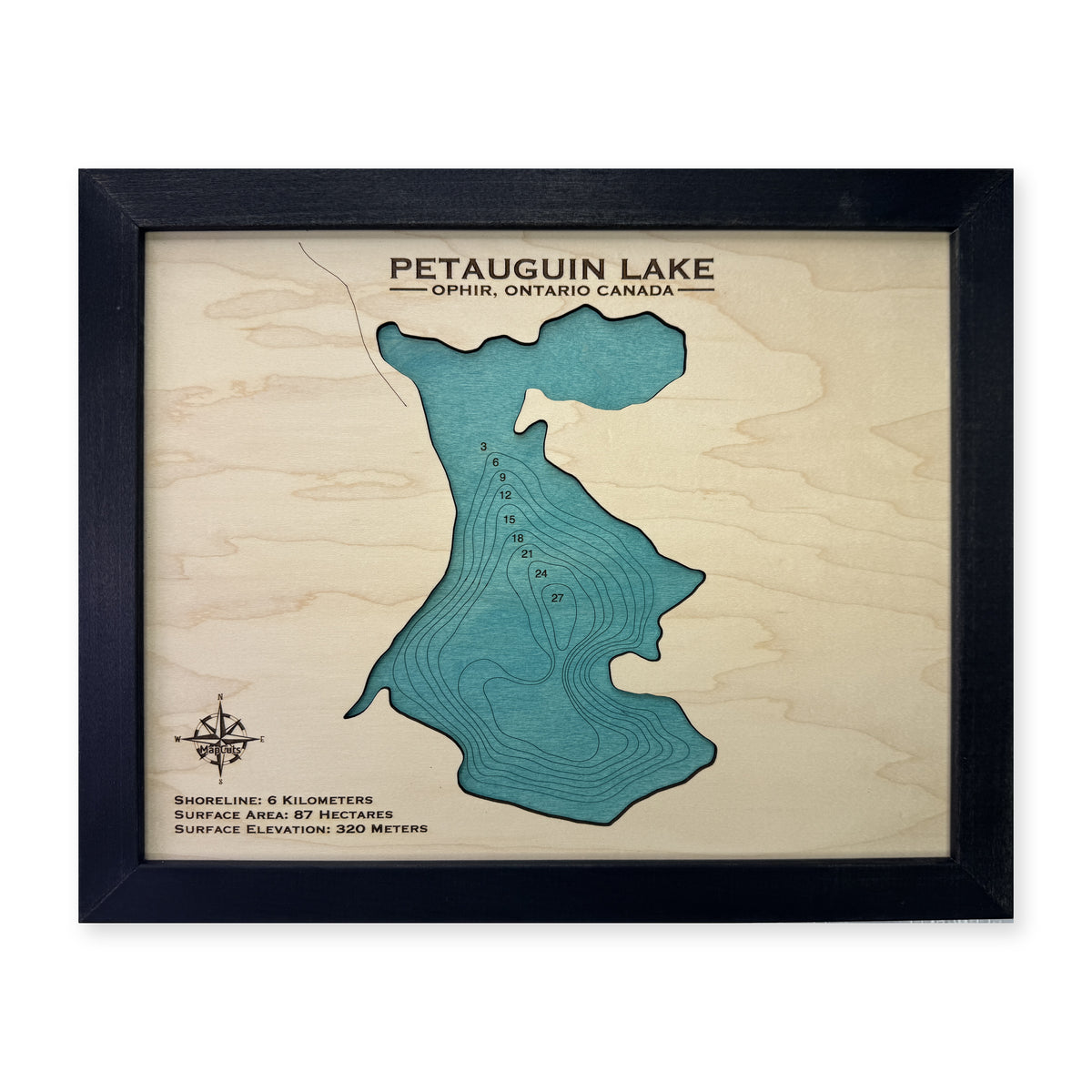 Petauguin Lake, Ophir, Ontario Wood Map — plain-background photo [MC20261006 q4111 1994fc3f0399]