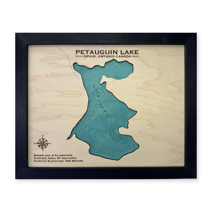 Petauguin Lake, Ophir, Ontario Wood Map — plain-background photo [MC20261006 q4111 1994fc3f0399]
