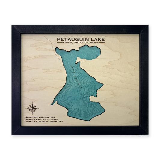Petauguin Lake, Ophir, Ontario Wood Map — plain-background photo [MC20261006 q4111 1994fc3f0399]