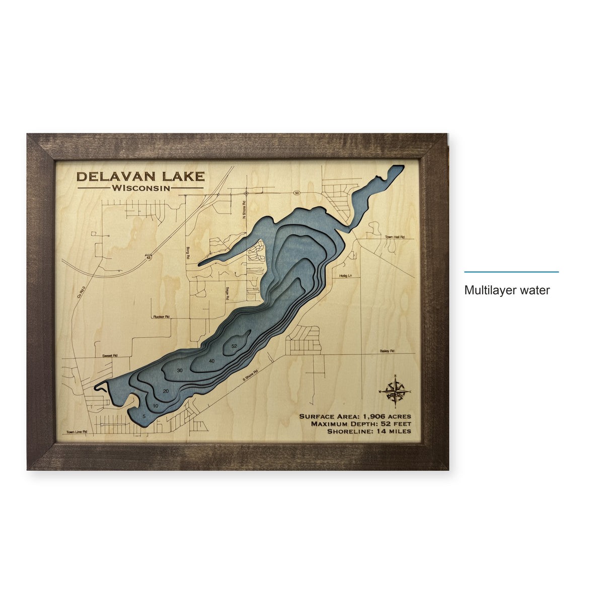 Delavan Lake, Wisconsin Wood Map — style-labeled photo [MC20261006 q4240 acb5e329456d]