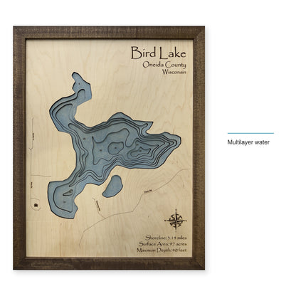Bird Lake, Lake Tomahawk, Wisconsin Wood Map — style-labeled photo [MC20261006 q4352 318c51041b5c]