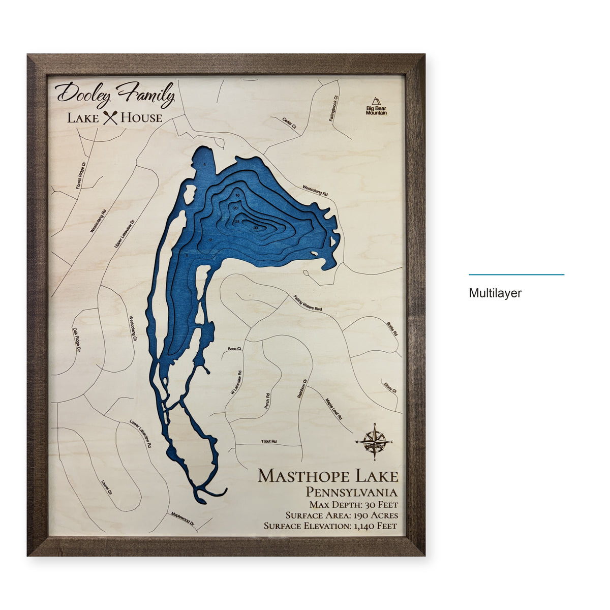 Masthope Dooley wood map — multilayer, layer option shown