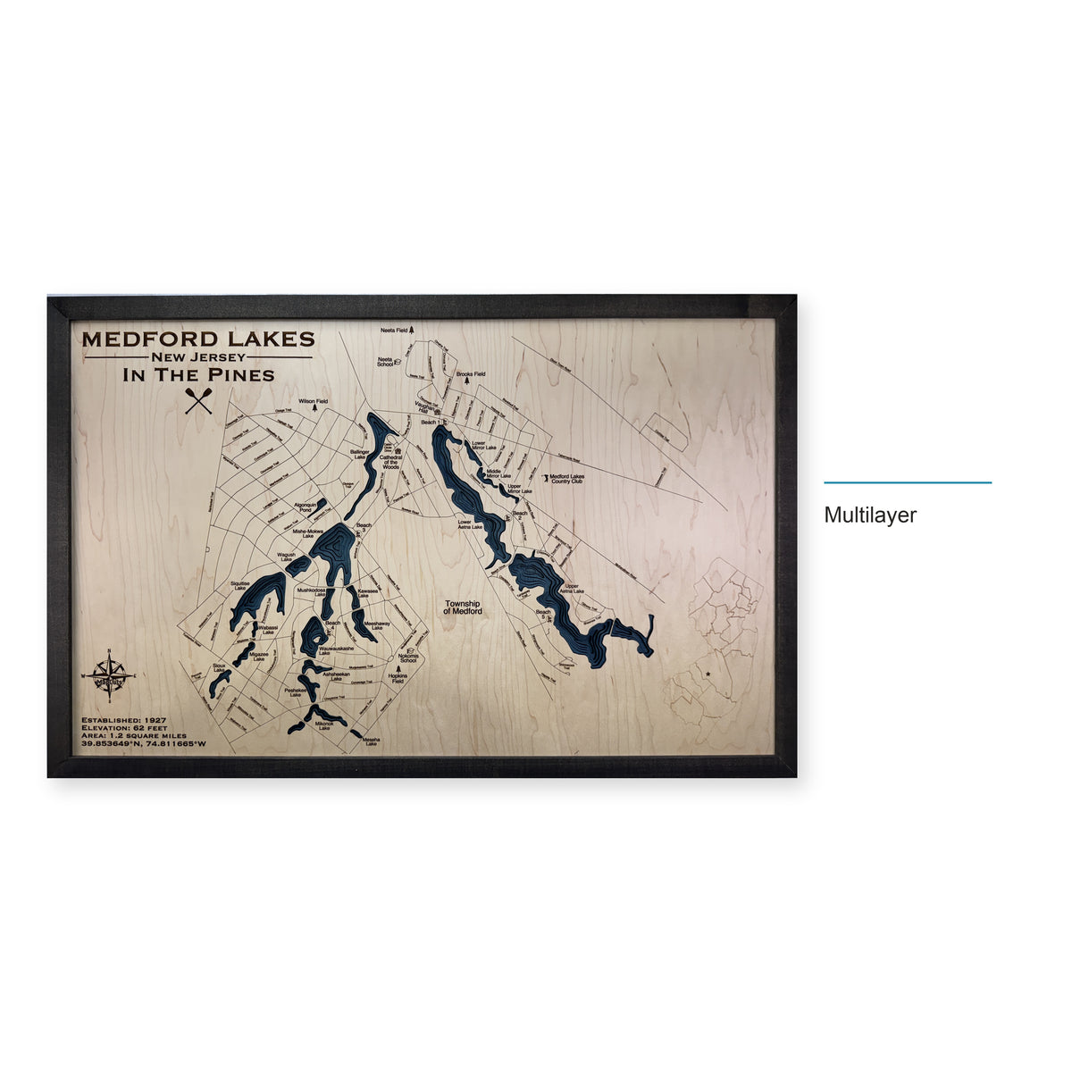 Medford Pines wood map — multilayer, layer option shown