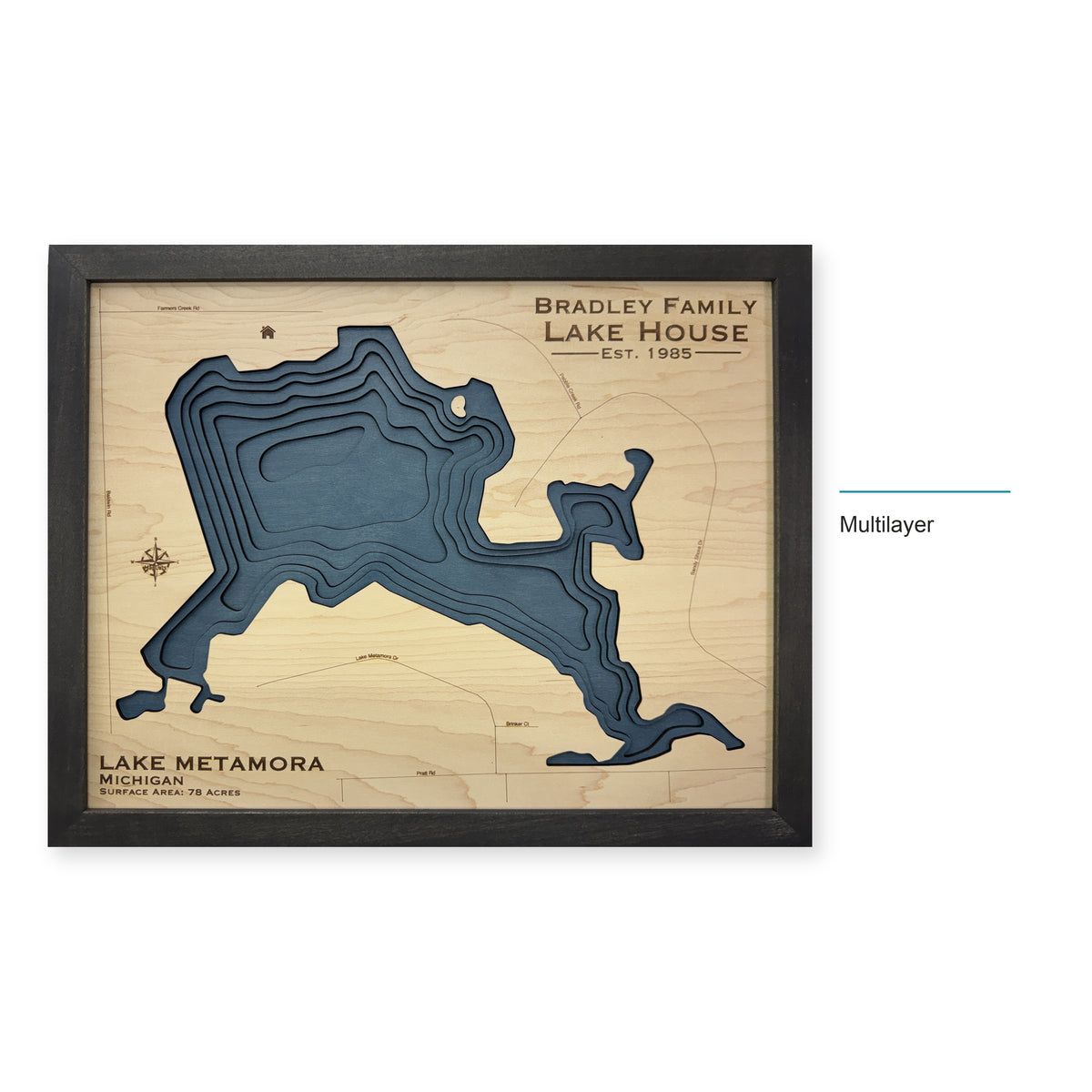 Metamora Bradley wood map — multilayer, layer option shown