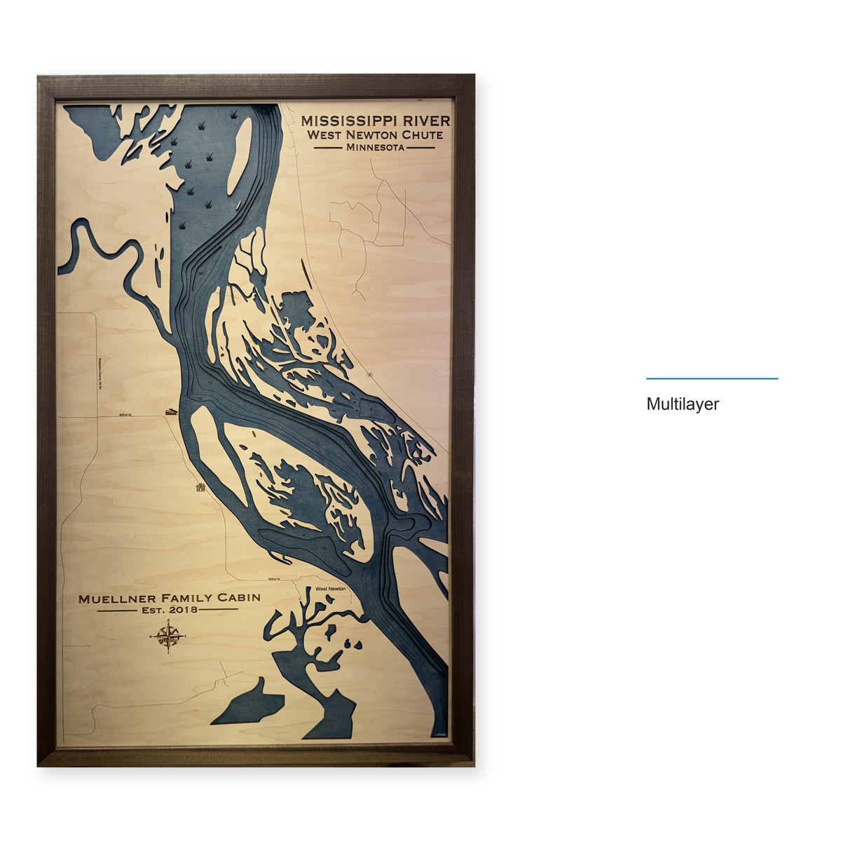 Mississippi Muellner wood map — multilayer, layer option shown