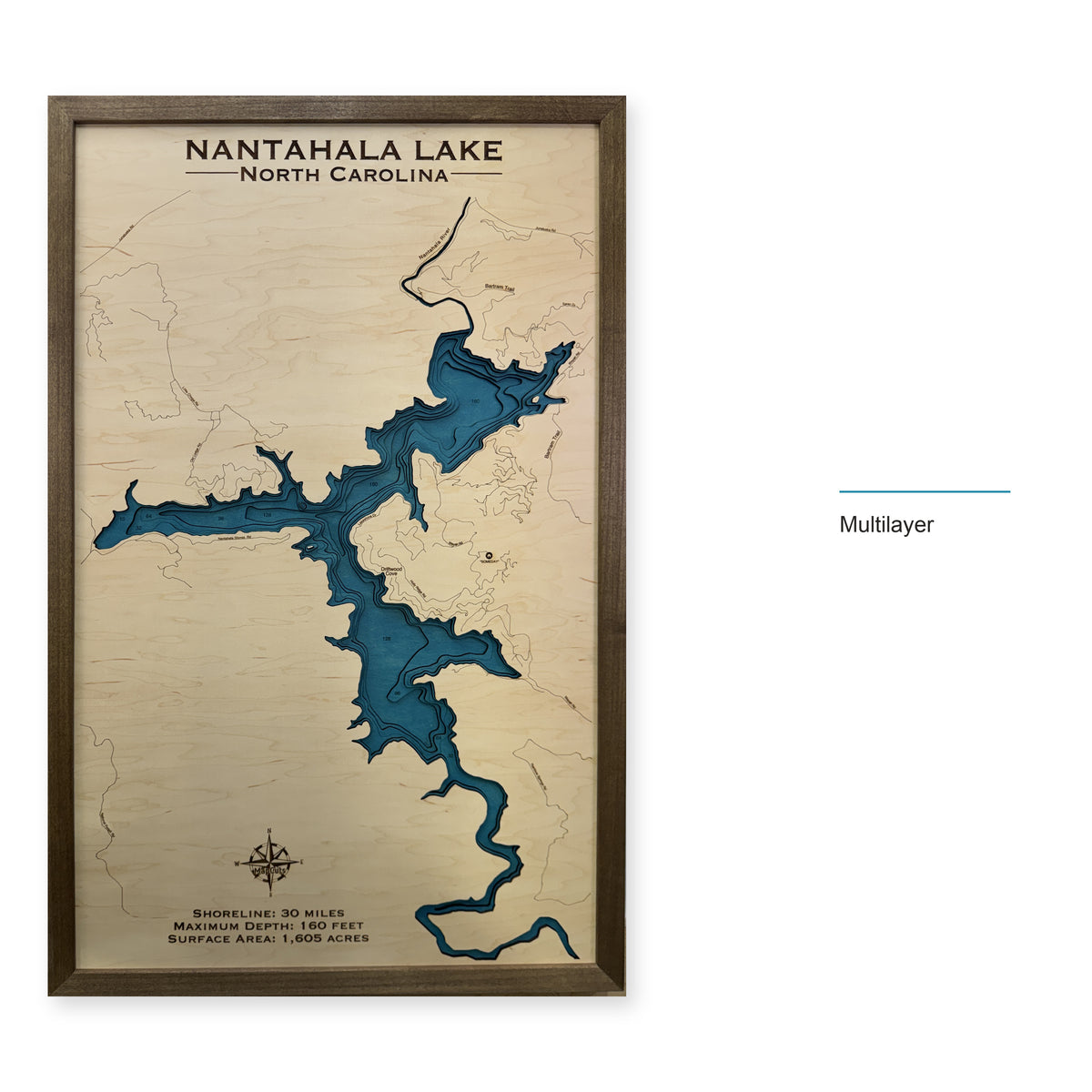 Nantahala Waddell wood map — multilayer, layer option shown