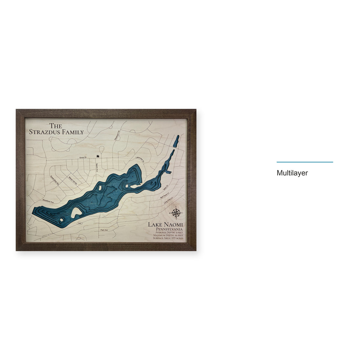 Naomi Strazdus wood map — multilayer, layer option shown