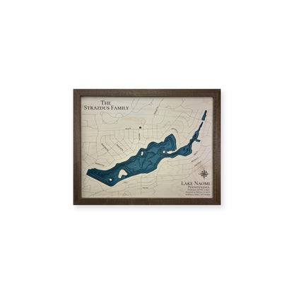 Naomi Strazdus wood map — multilayer, white background