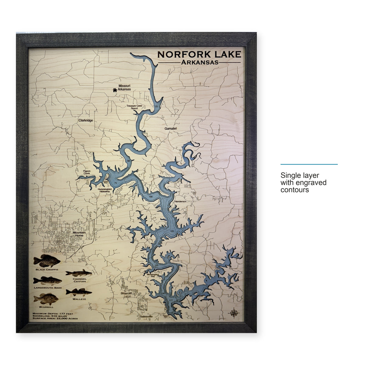 Norfork Fish wood map — single layer with engraved contours, layer option shown
