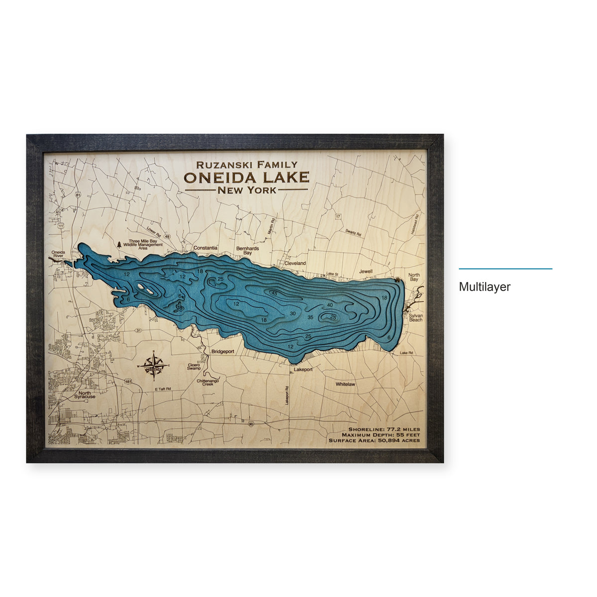Oneida Ruzanski wood map — multilayer, layer option shown