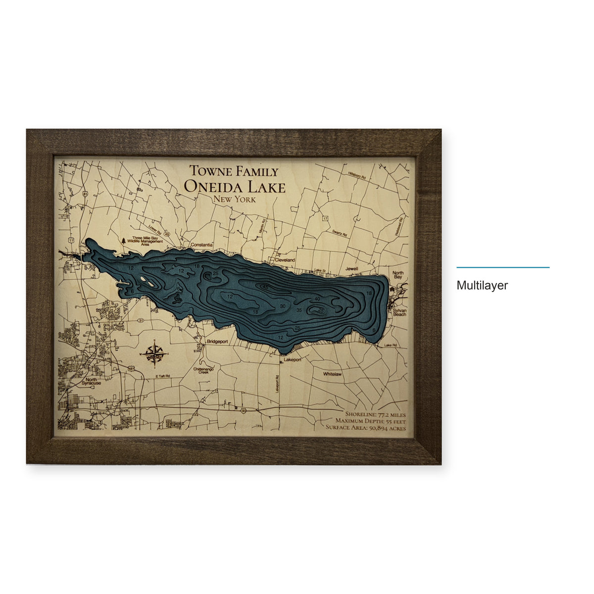 Oneida Towne wood map — multilayer, layer option shown