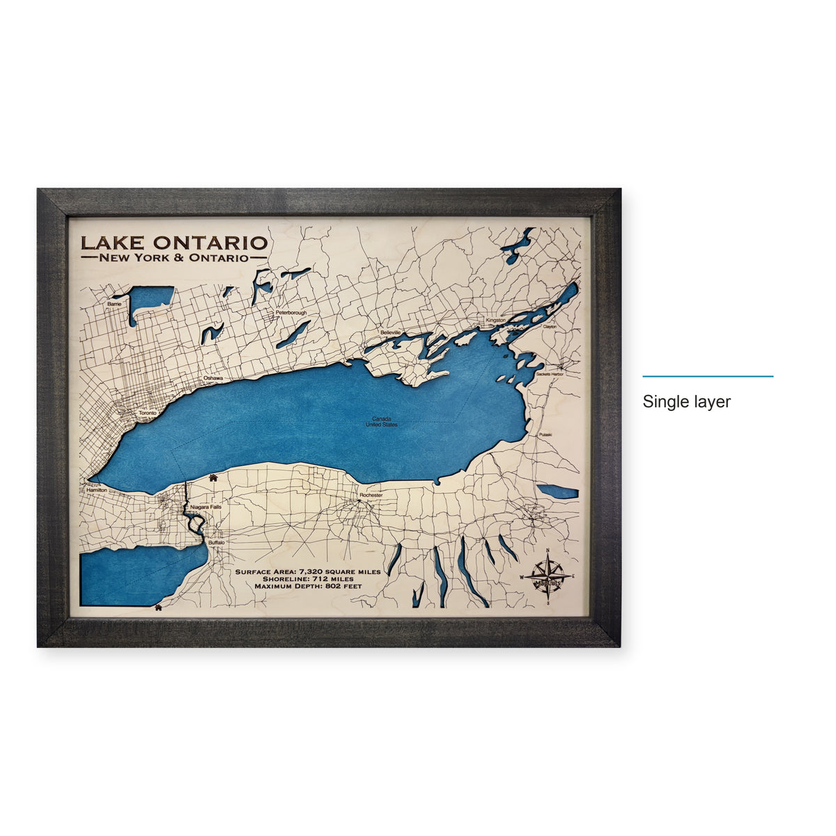 Ontario Pizarro wood map — single layer, layer option shown