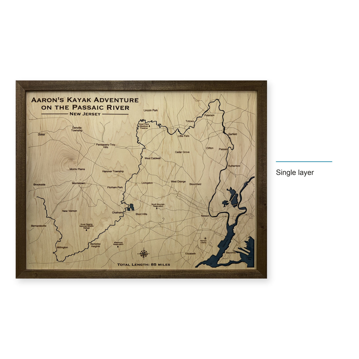 Passaic Goodell wood map — single layer, layer option shown