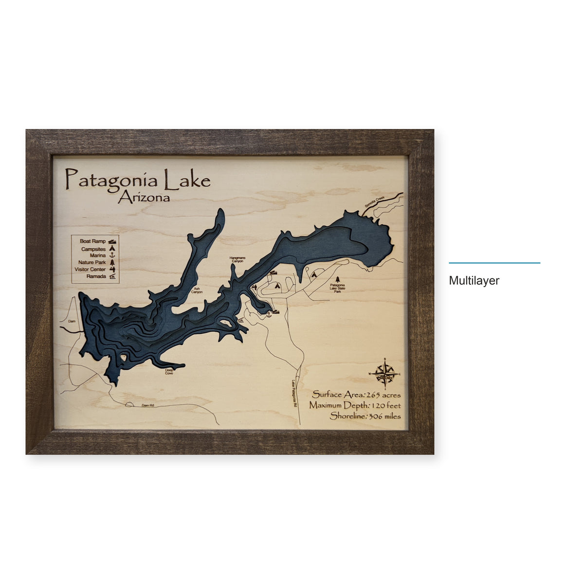Patagonia Lake wood map — multilayer, layer option shown