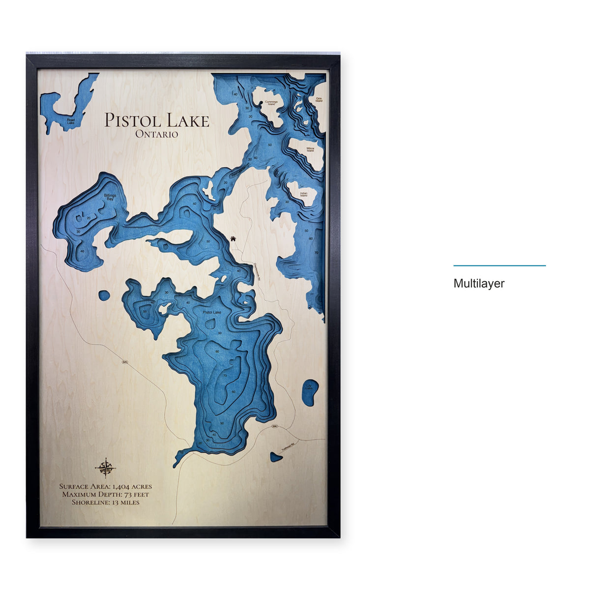Pistol Hunt wood map — multilayer, layer option shown