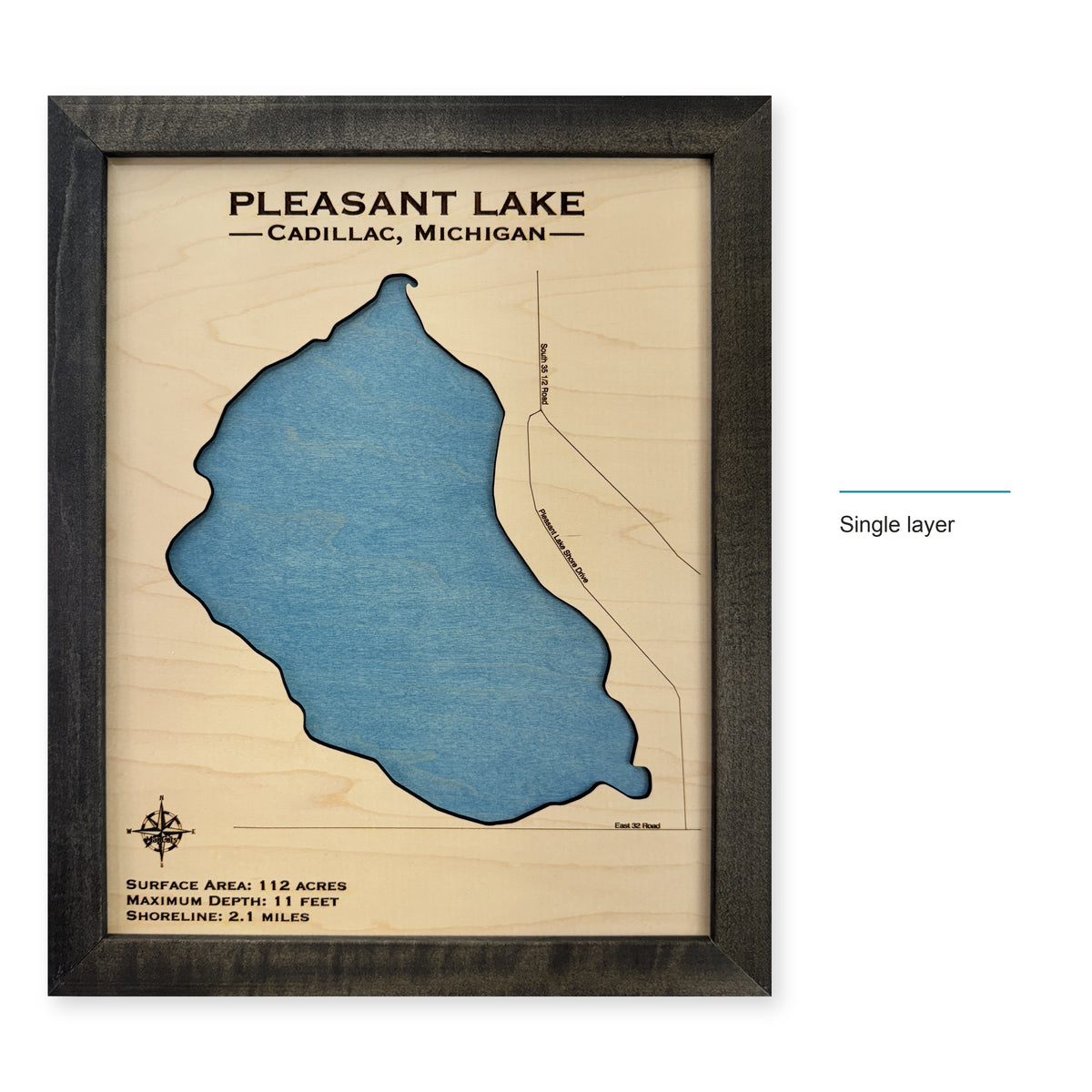 Pleasant Lake Cadillac wood map — single layer, layer option shown
