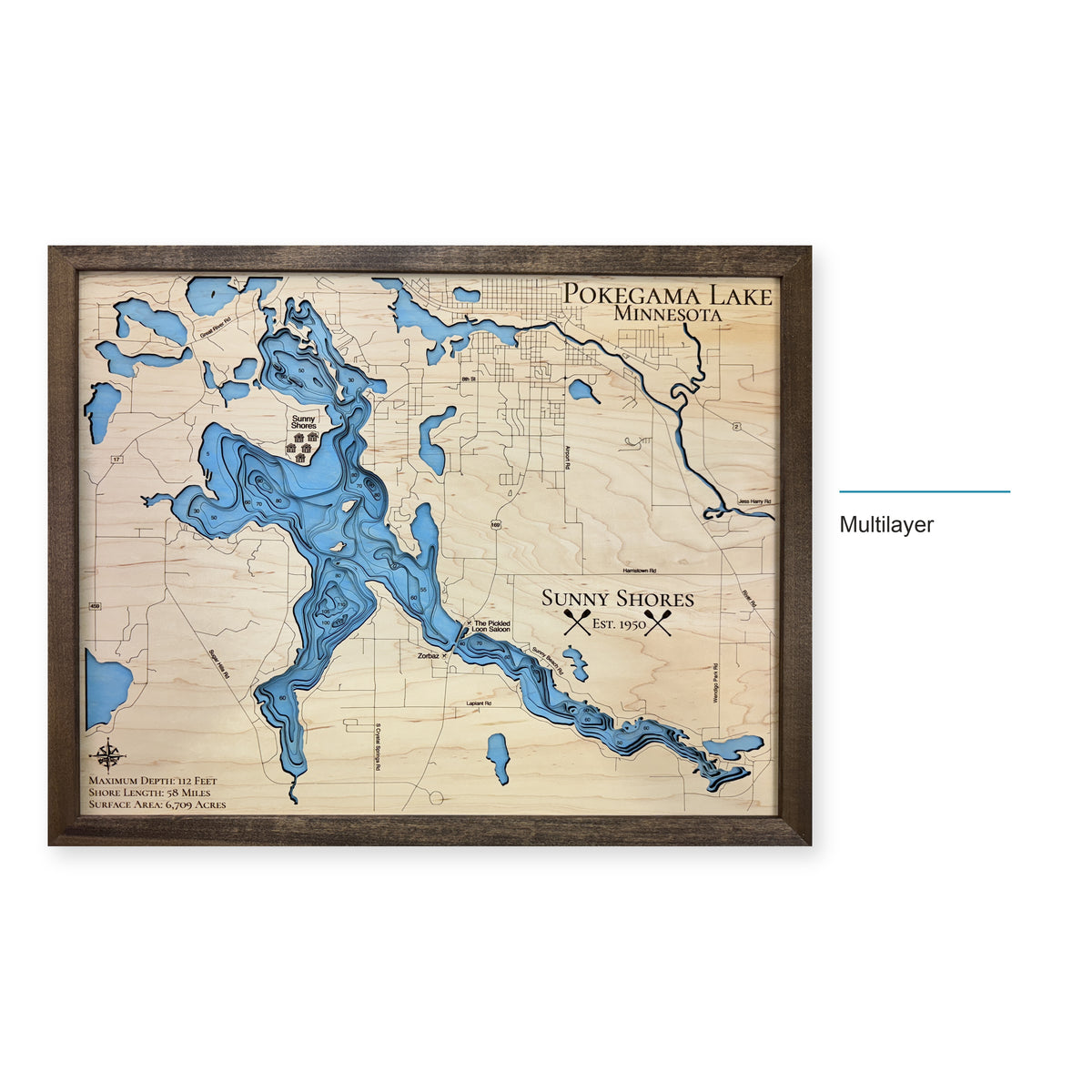 Pokegama Sunny Shores wood map — multilayer, layer option shown