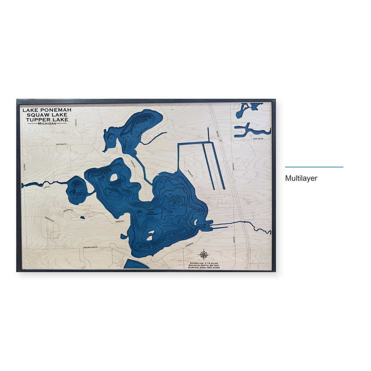 Ponemah Chain wood map — multilayer, layer option shown