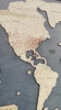 Video of wooden world travel map with red pins to track your travels. 
