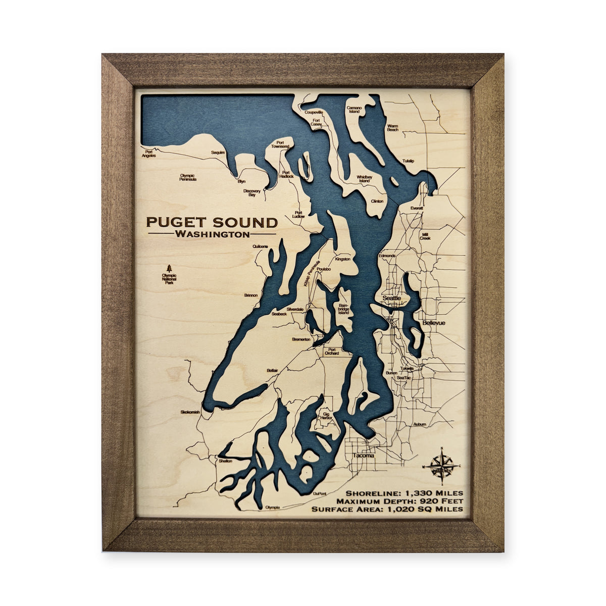 Puget Walnut Single wood map — single layer, white background