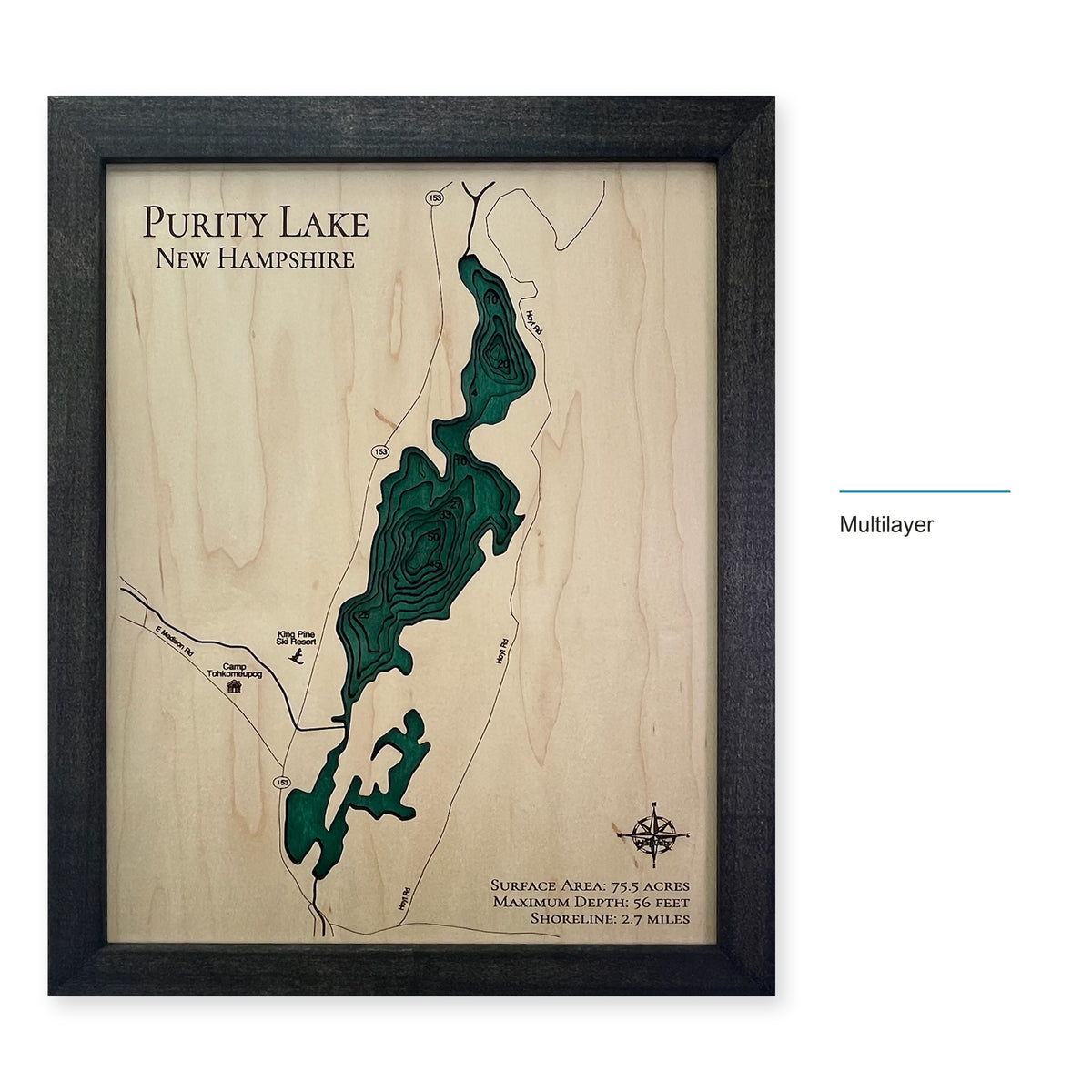 Purity Backfill wood map — multilayer, layer option shown