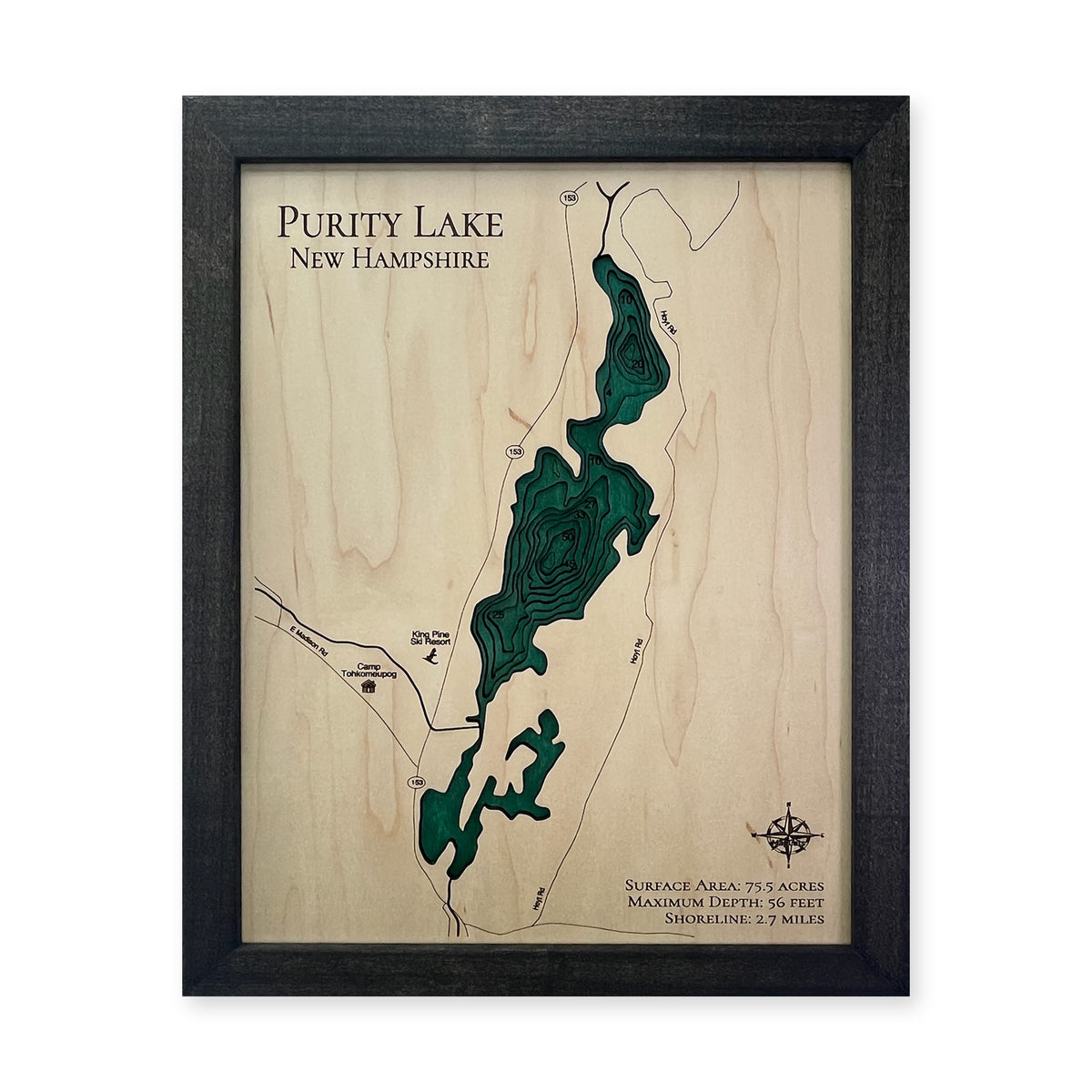 Purity Backfill wood map — multilayer, white background