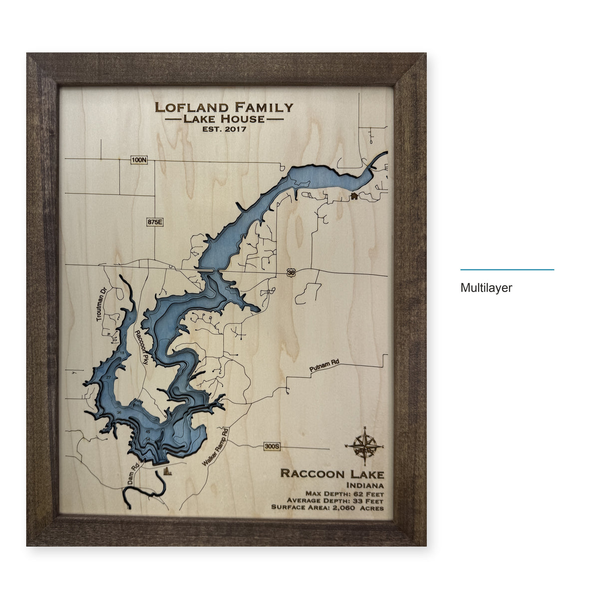 Raccoon Lofland wood map — multilayer, layer option shown