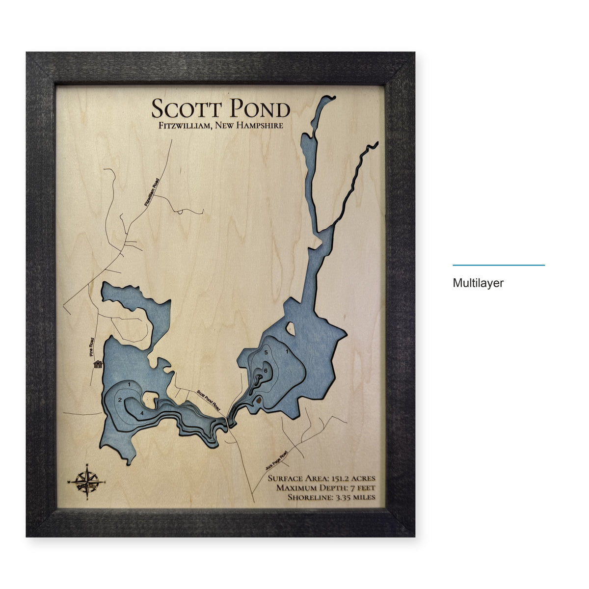 Scott Pond Multi wood map — multilayer, layer option shown