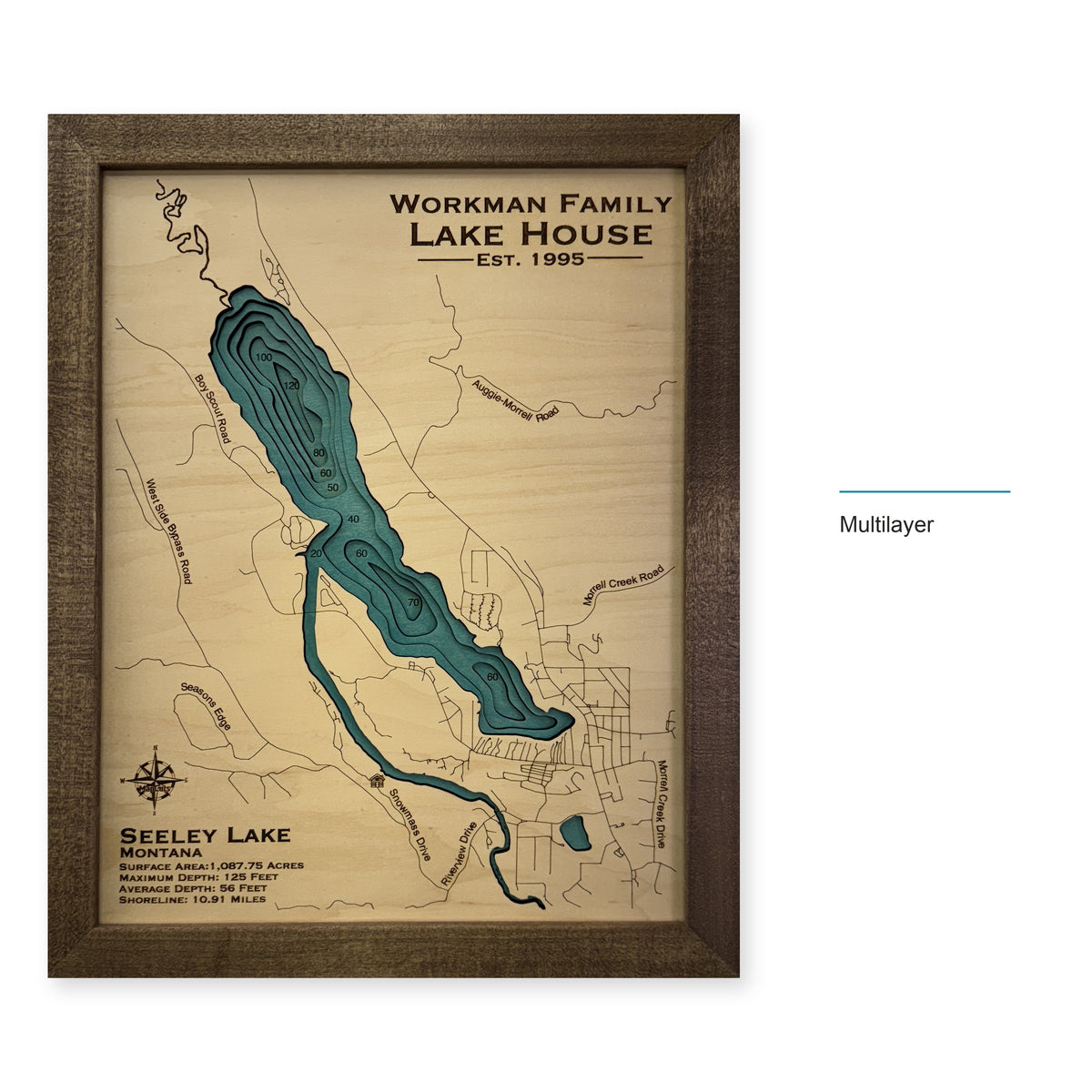 Seeley Workman wood map — multilayer, layer option shown