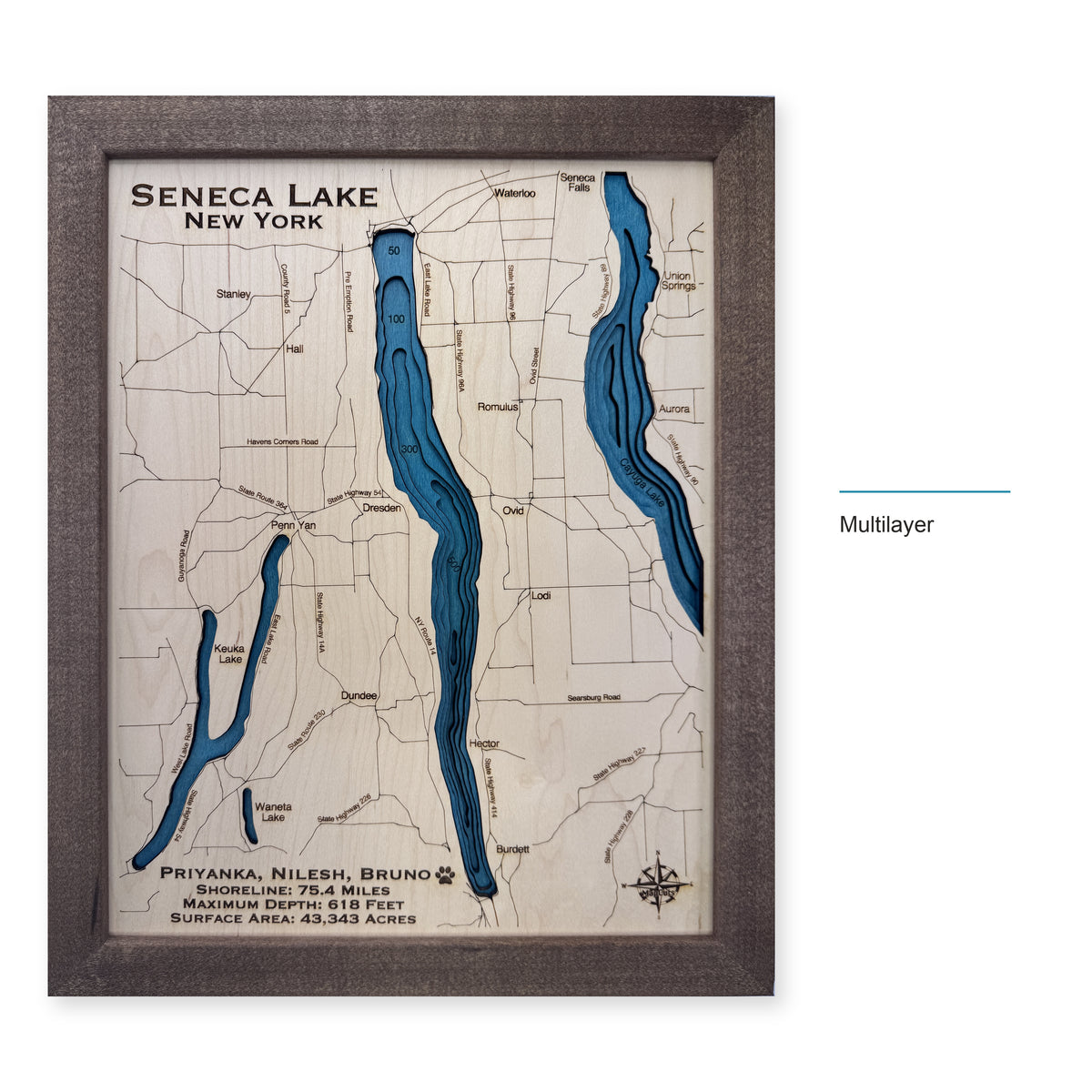 Seneca Trivedi wood map — multilayer, layer option shown