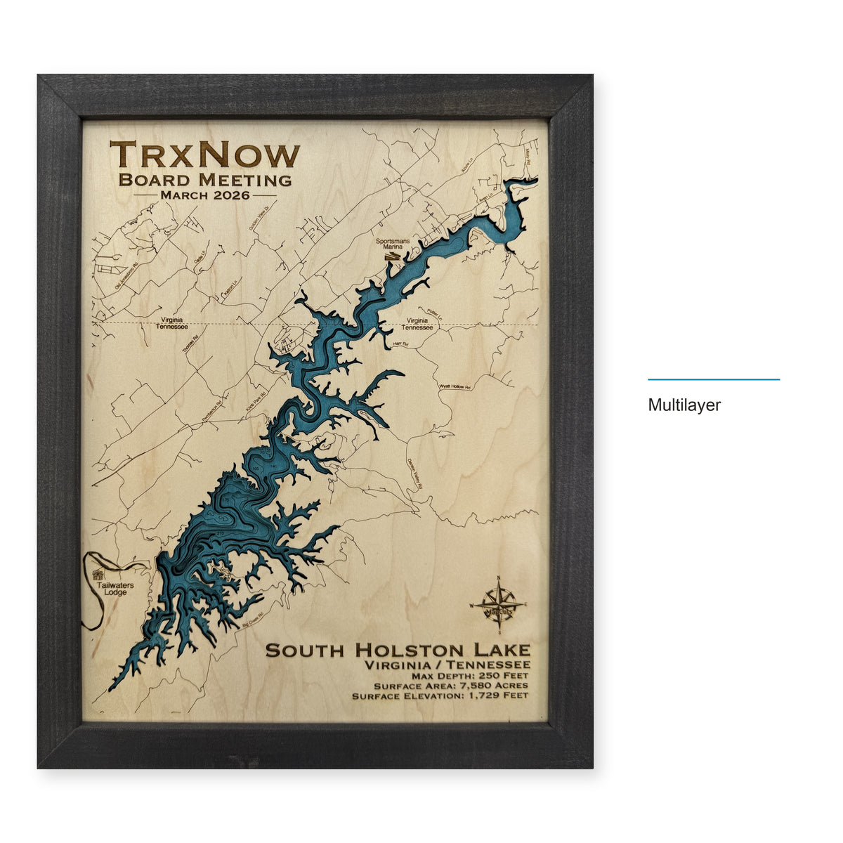 South Holston Trxnow wood map — multilayer, layer option shown