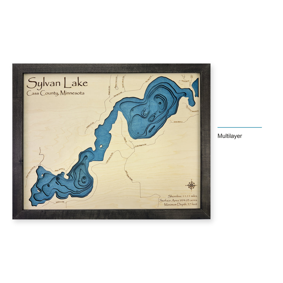 Sylvan Hanzal wood map — multilayer, layer option shown