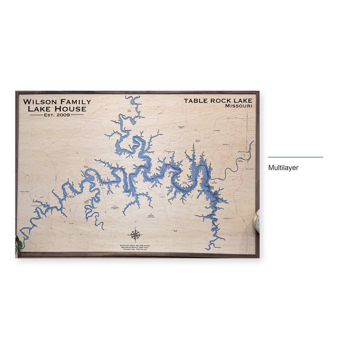 Table Rock Wilson wood map — multilayer, layer option shown