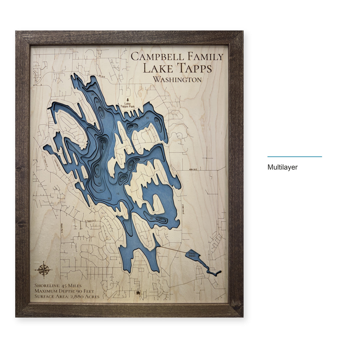 Tapps Campbell wood map — multilayer, layer option shown