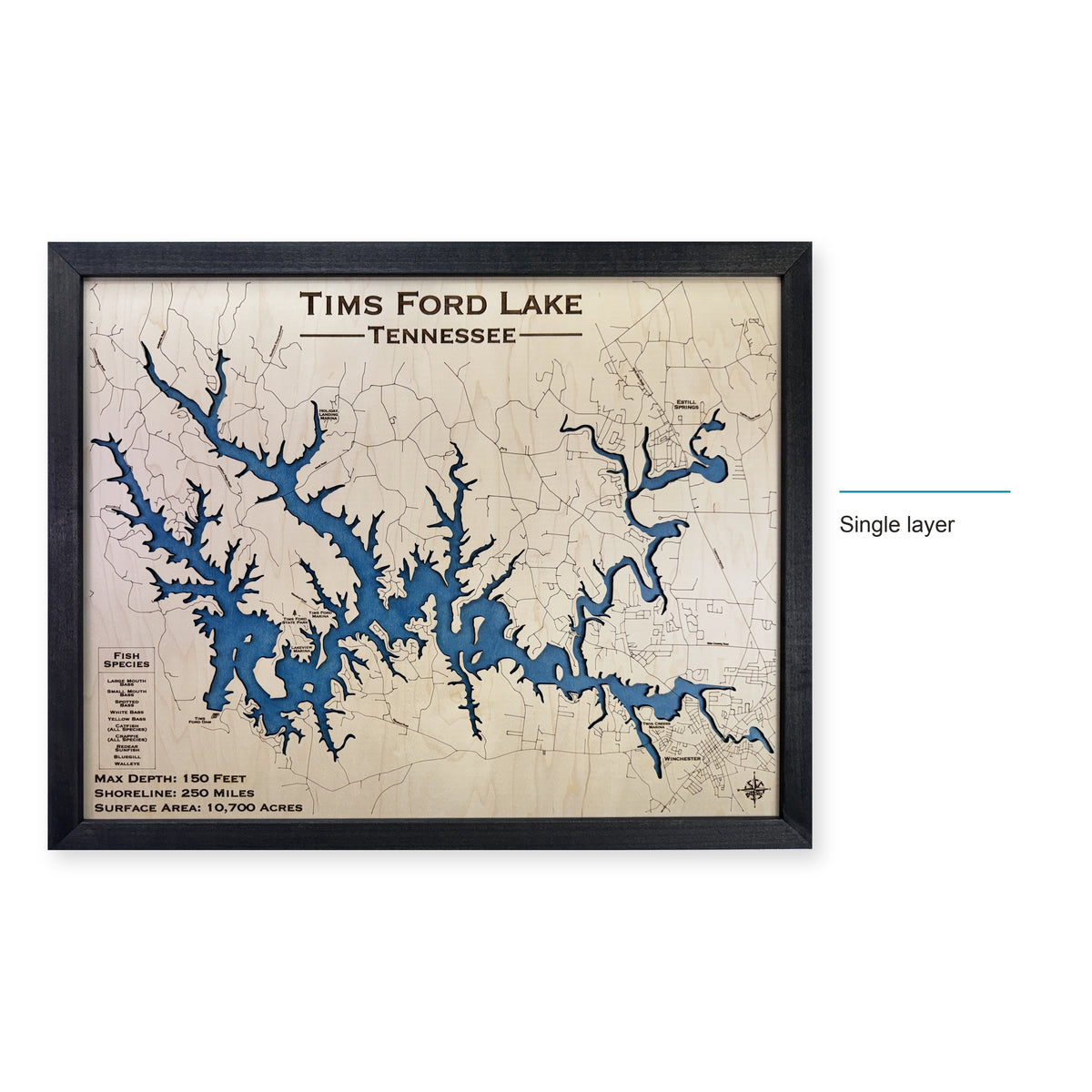 Tims Ford Lake wood map — single layer, layer option shown