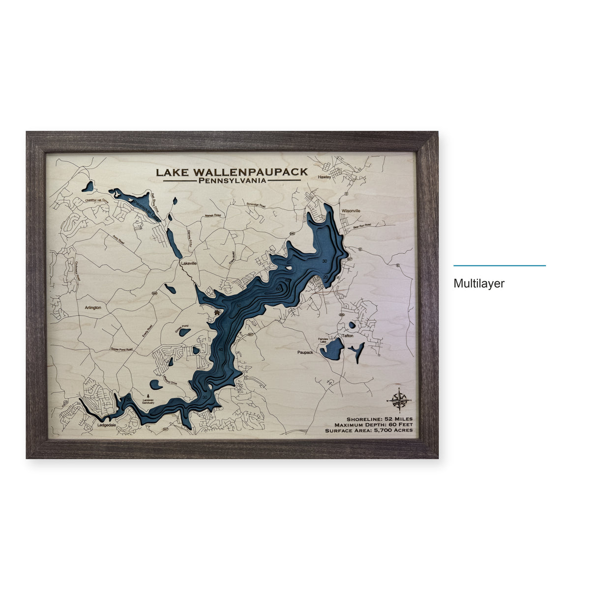 Wallenpaupack Cunning wood map — multilayer, layer option shown