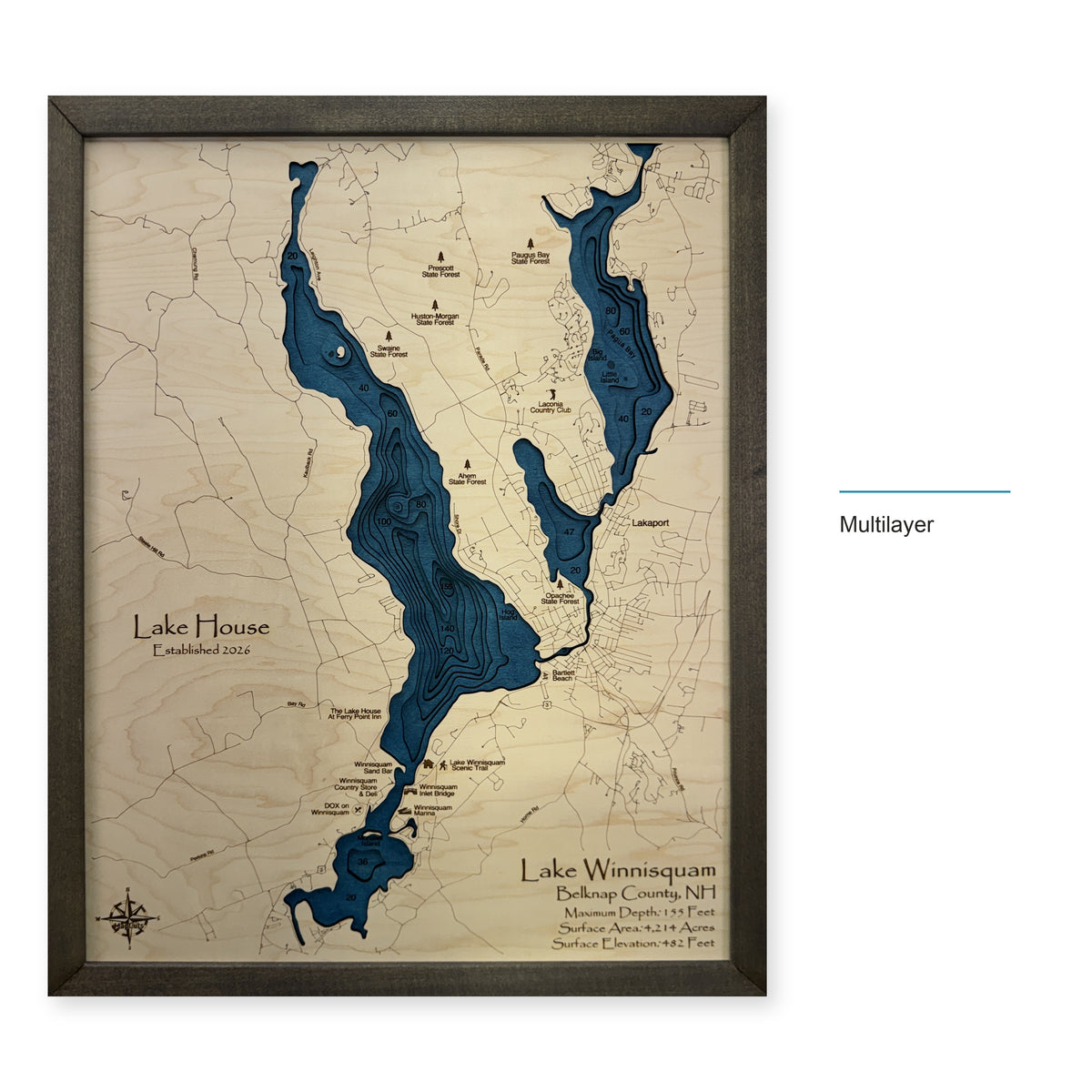 Winnisquam Cronin wood map — multilayer, layer option shown