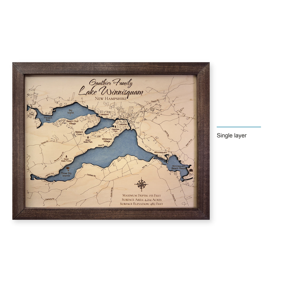 Winnisquam Gauthier wood map — single layer, layer option shown